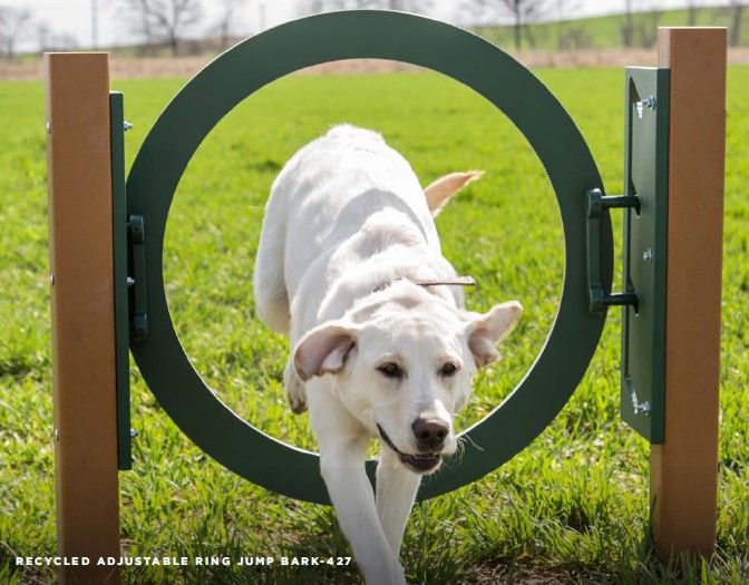 BarkPark Recycled Adjustable Ring Jump Bark